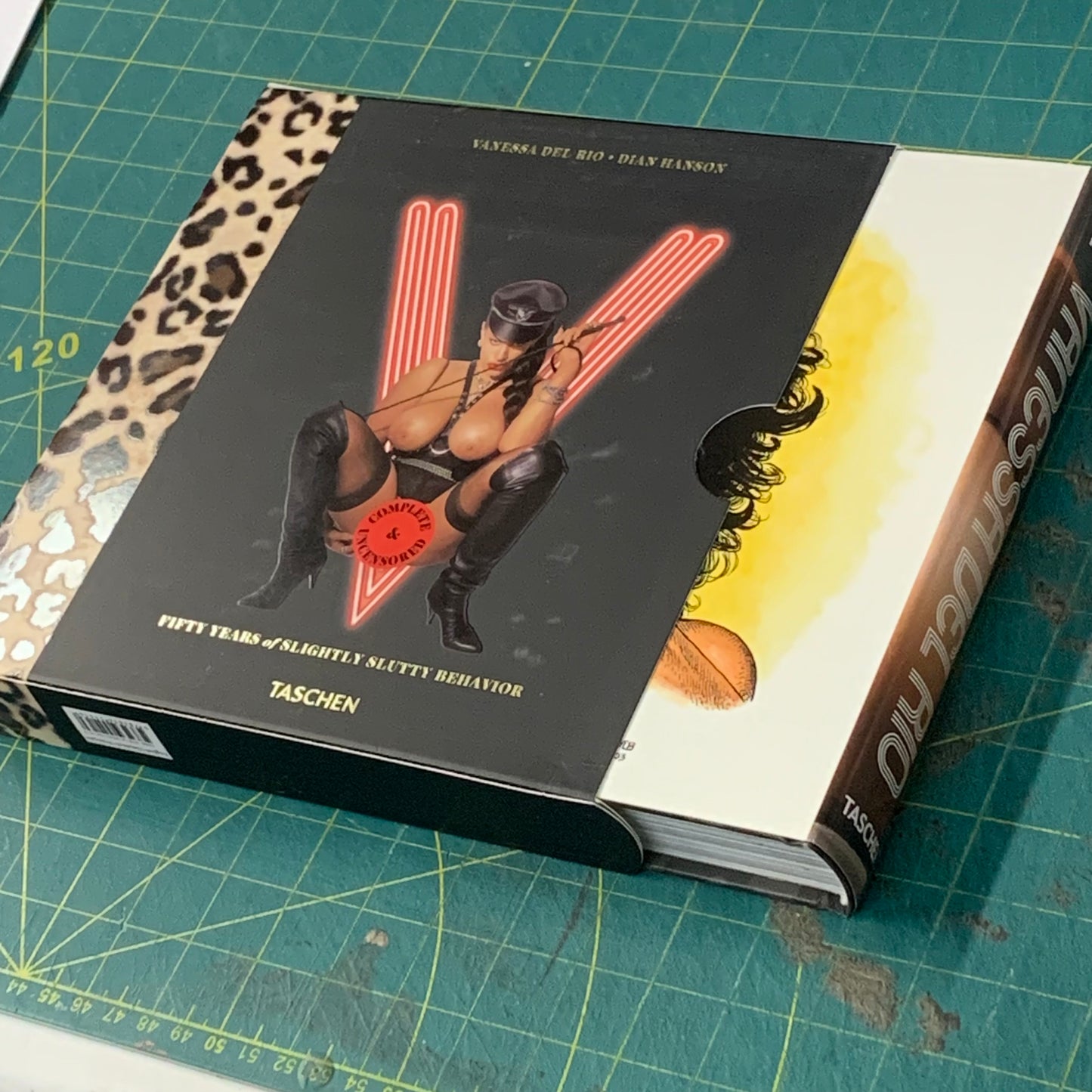 Vanessa del Rio - Fifty years of slightly slutty behavior (Slipcase/DVD)