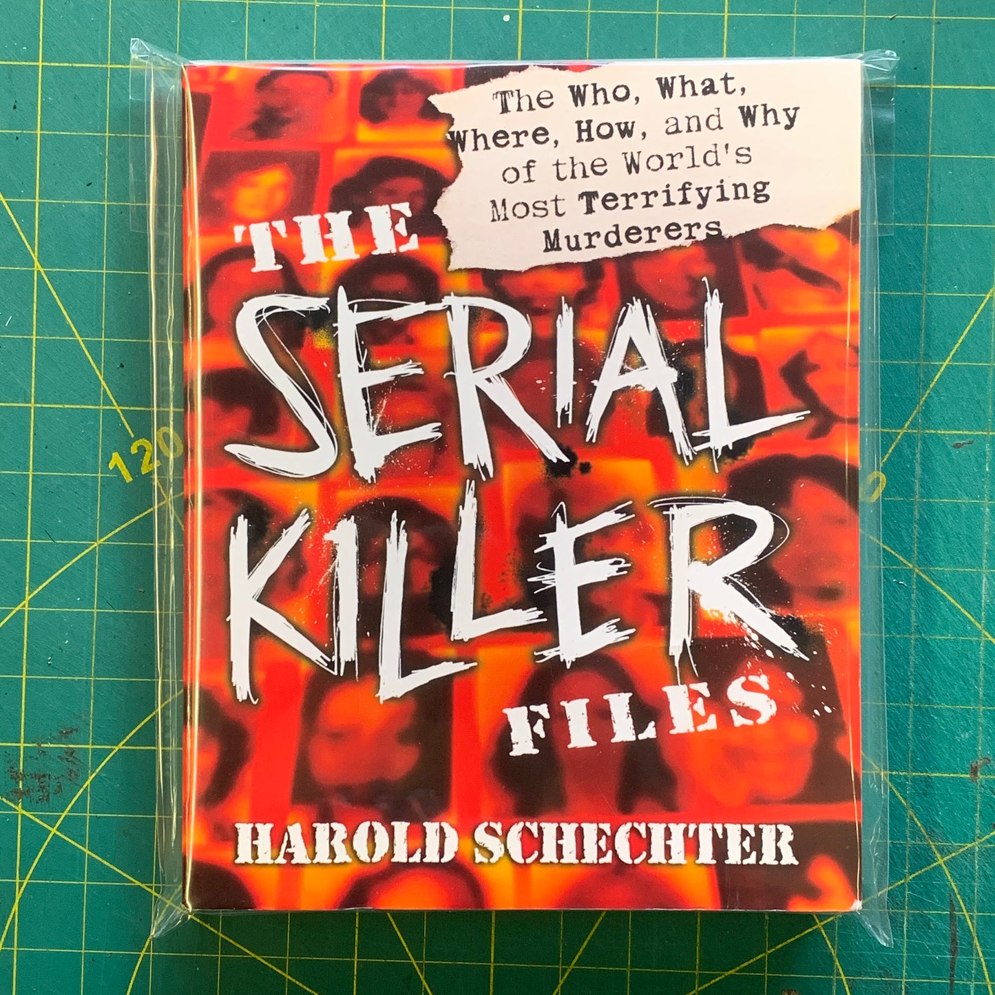 The serial killer files