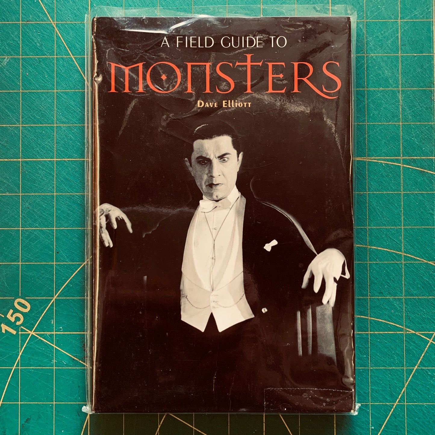 A Field Guide to Monsters