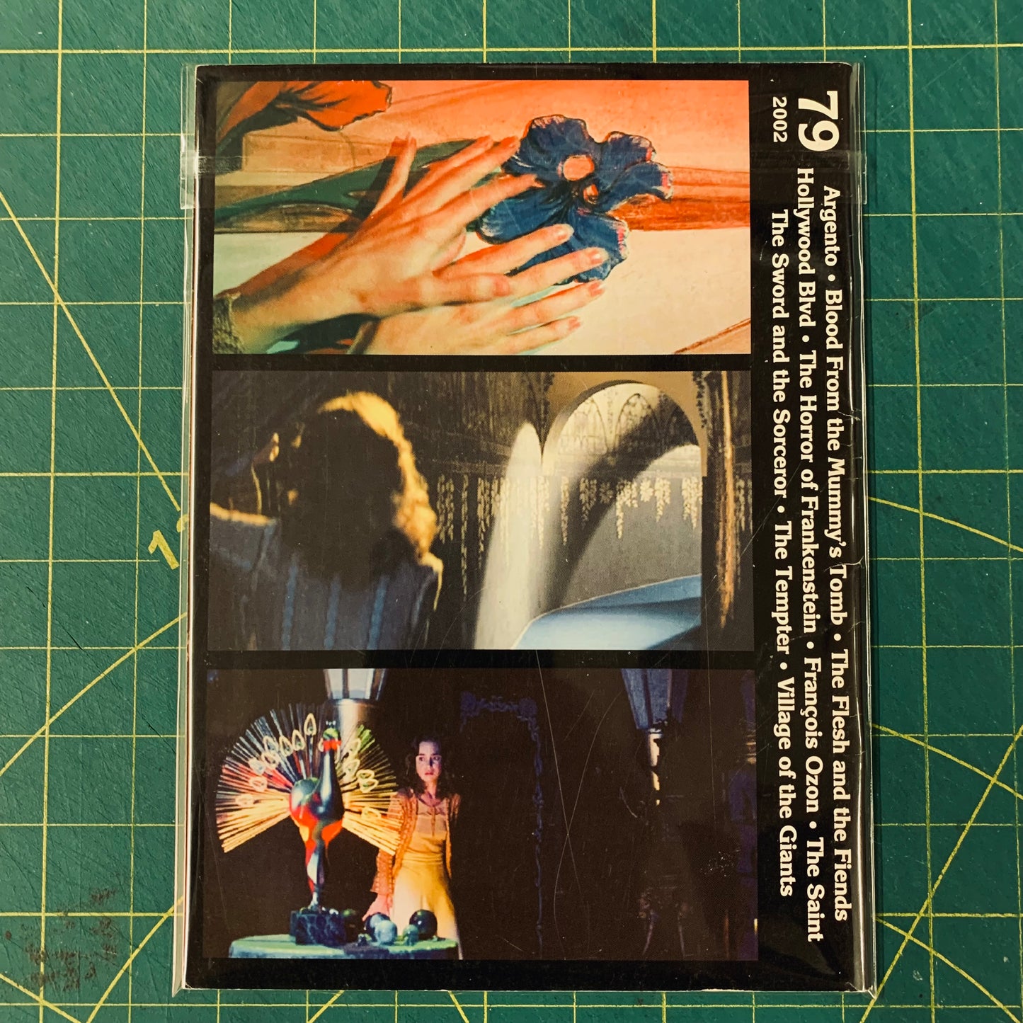 Video Watchdog - No. 79