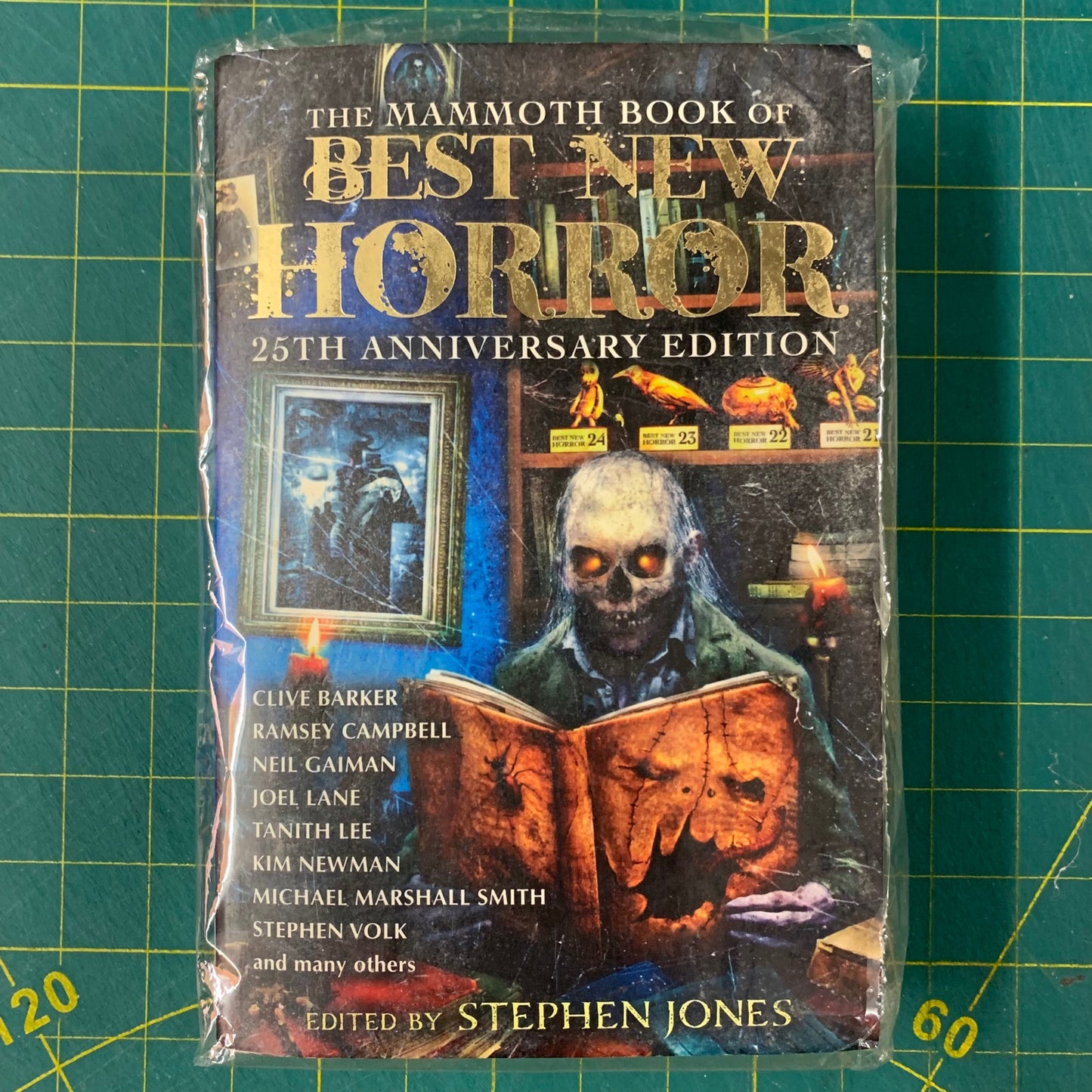 The mammoth book of best new horror