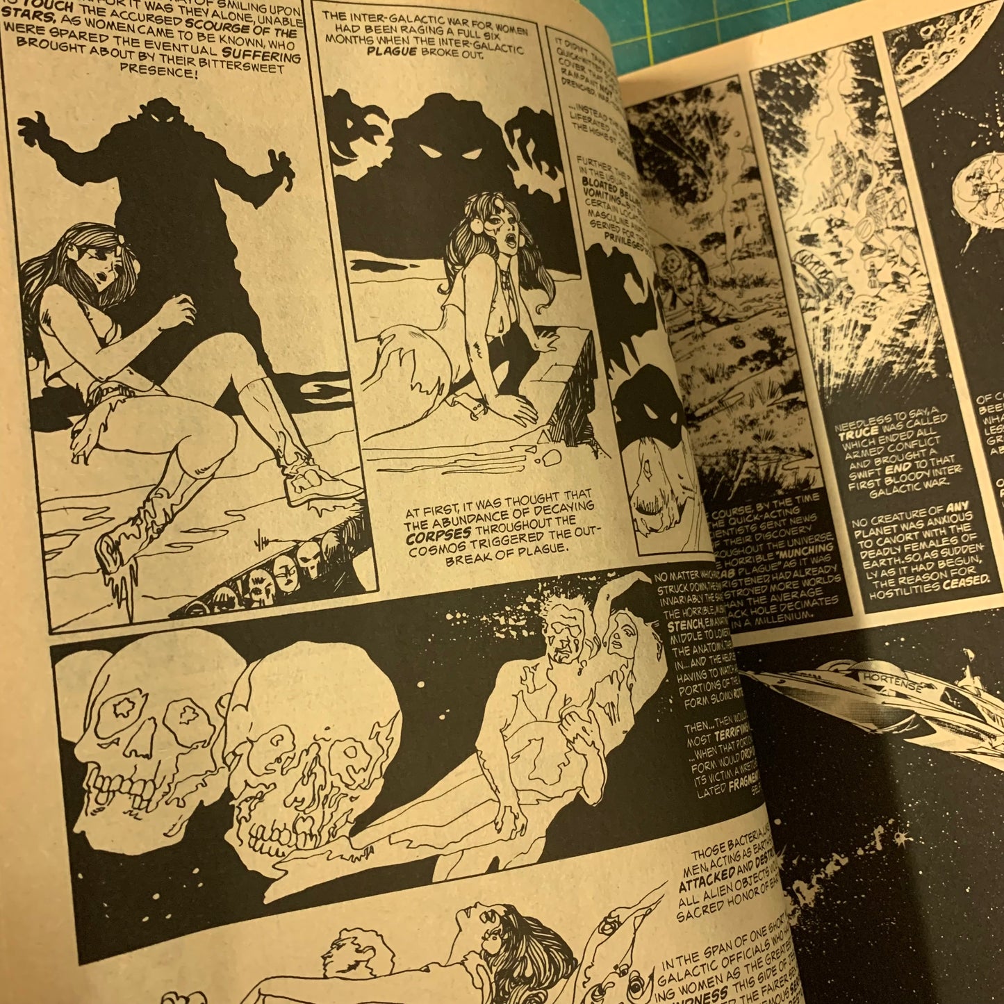 Lot Warren 2 nos. 1984 / 1994