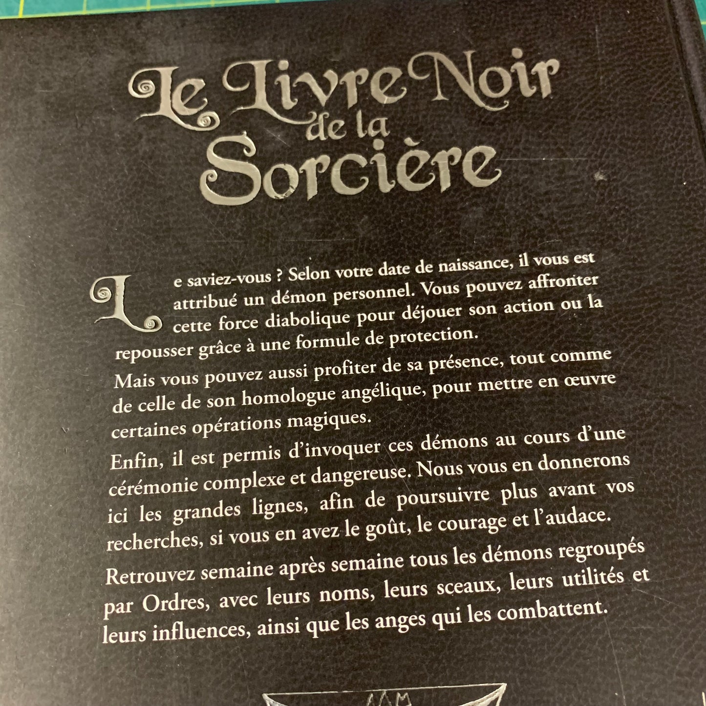 Le Livre Noir de la Sorcière