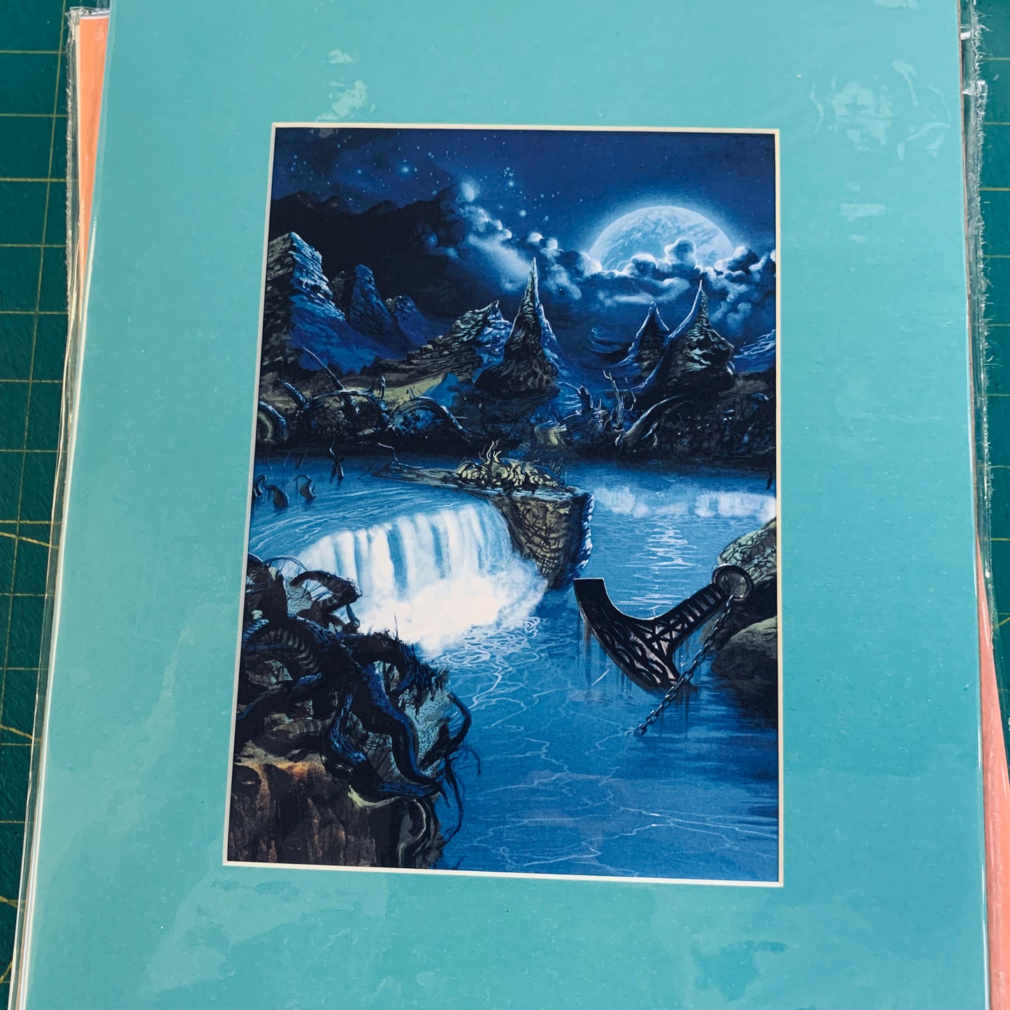Lot de 10 prints 8X10" (Série 6)