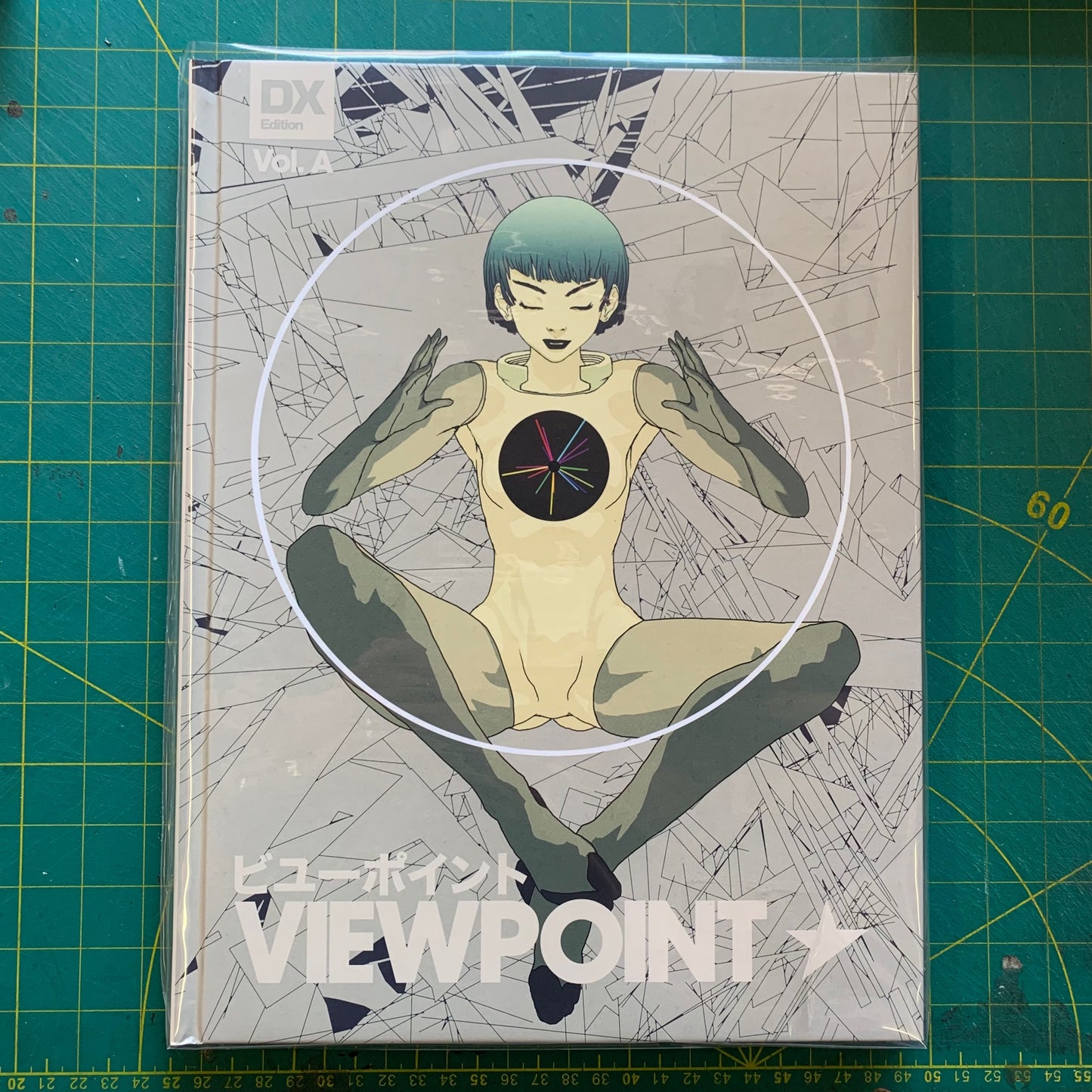 Viewpoint – Works by Lorenzo Ceccotti