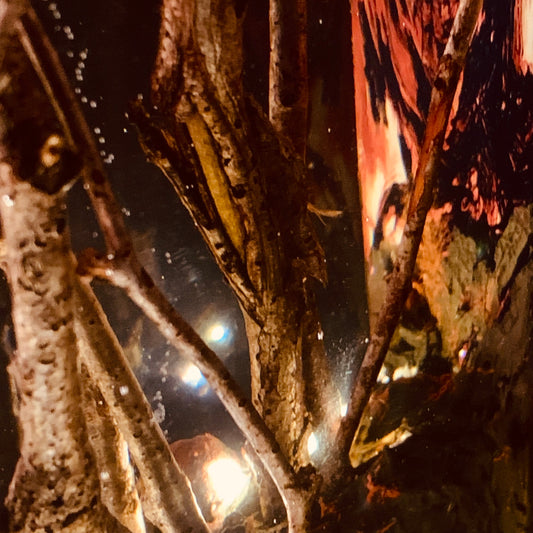 Mes petites résines apparaissent sur le site!