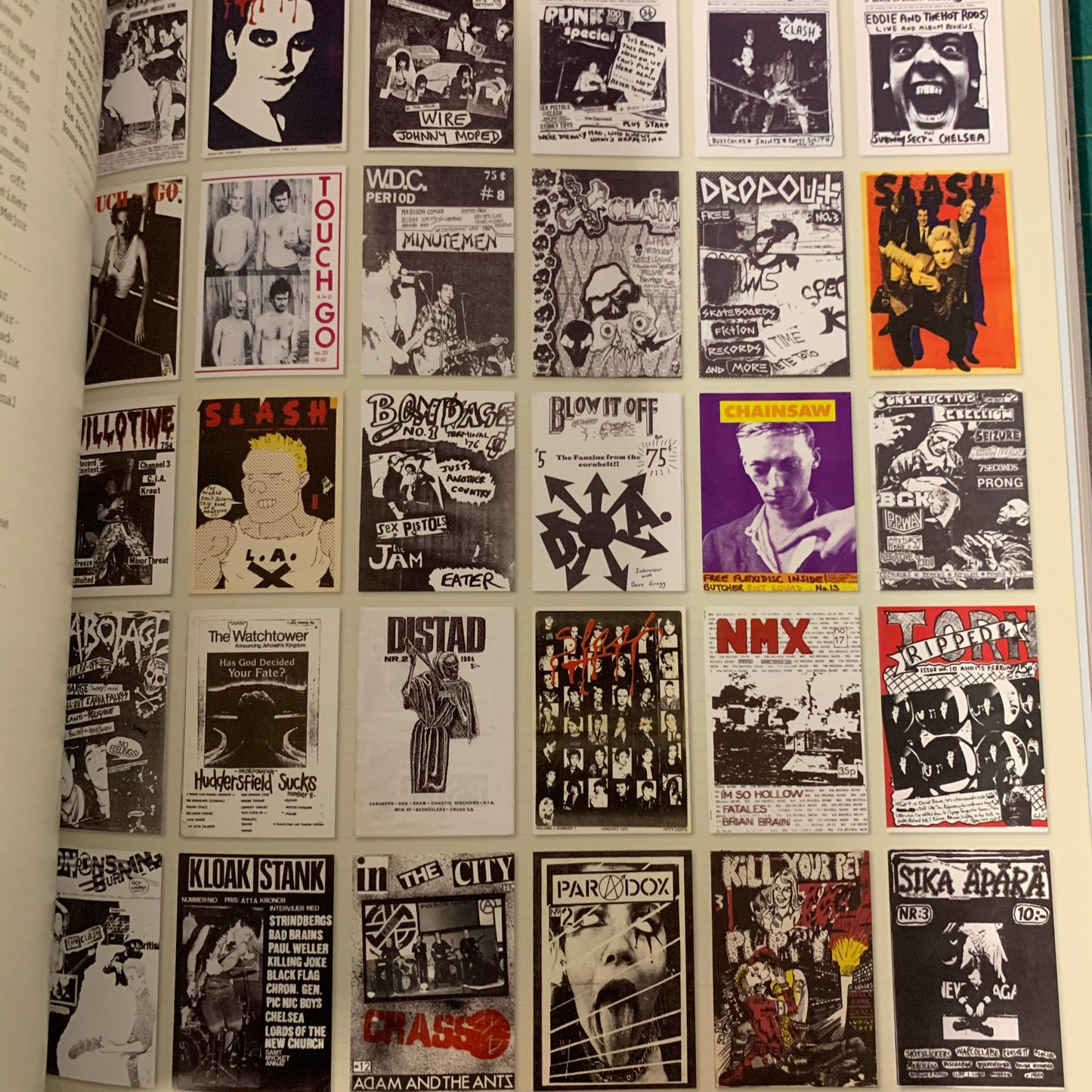 Design Und Punk (German edition The Art of Punk)