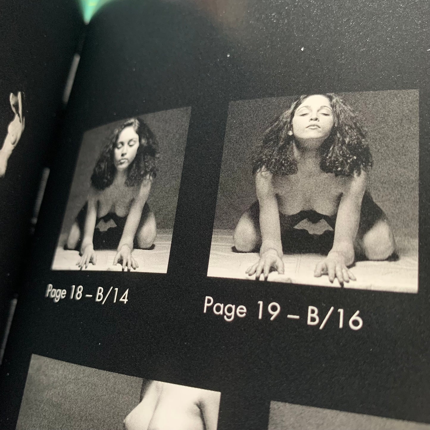 Madonna Nudes II - 2015 by Martin Schreiber