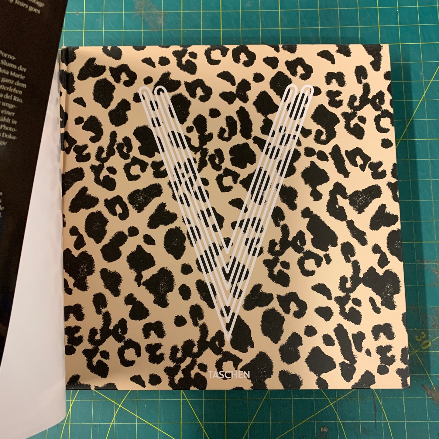 Vanessa del Rio - Fifty years of slightly slutty behavior (Incl. DVD)