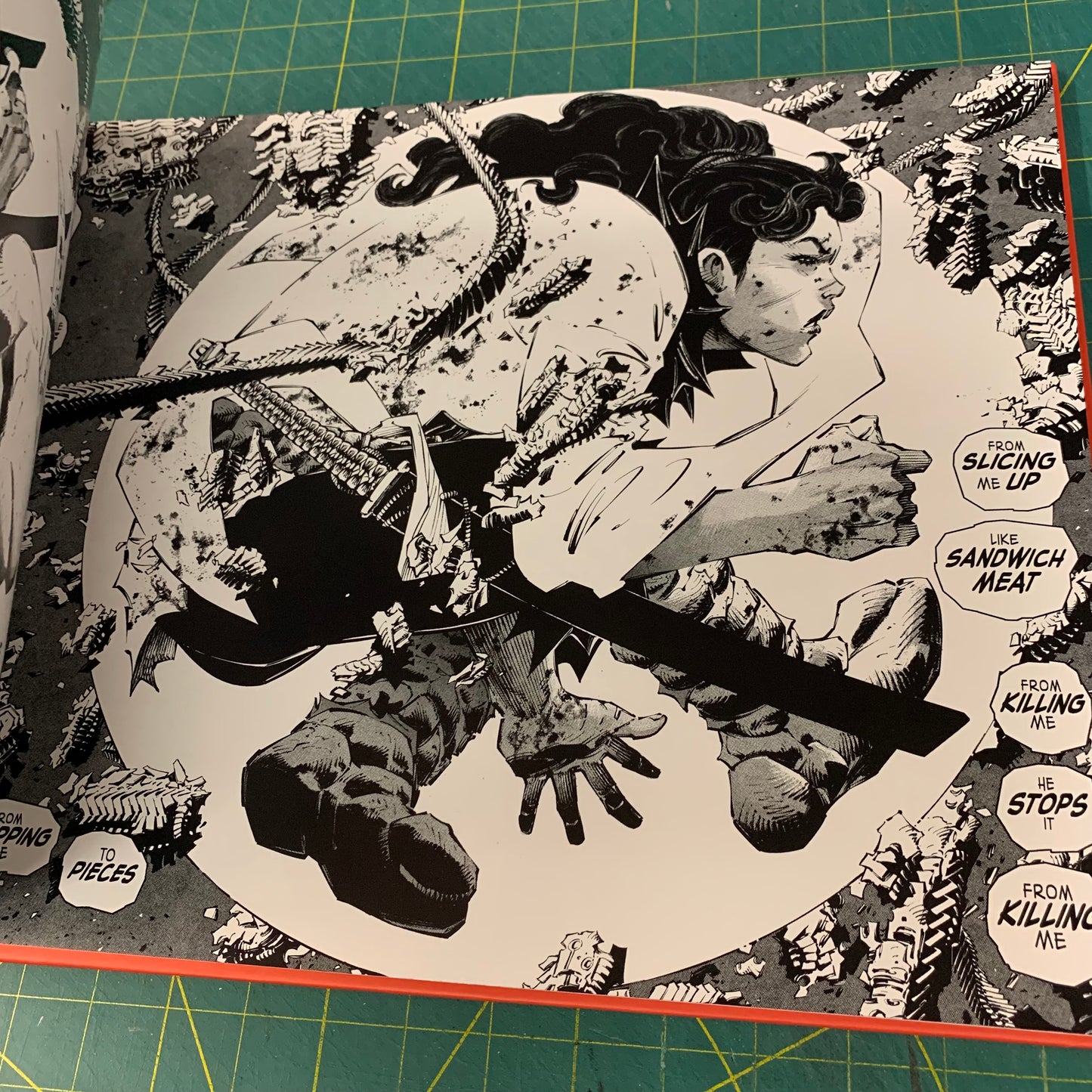 Frank Miller’s Ronin Rising - Collector’s Edition