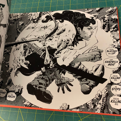 Frank Miller’s Ronin Rising - Collector’s Edition