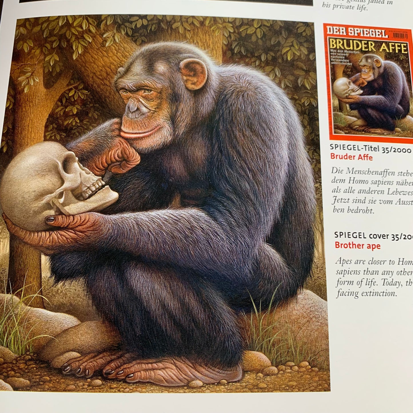 The Art of Der Spiegel (Eng/Ger)