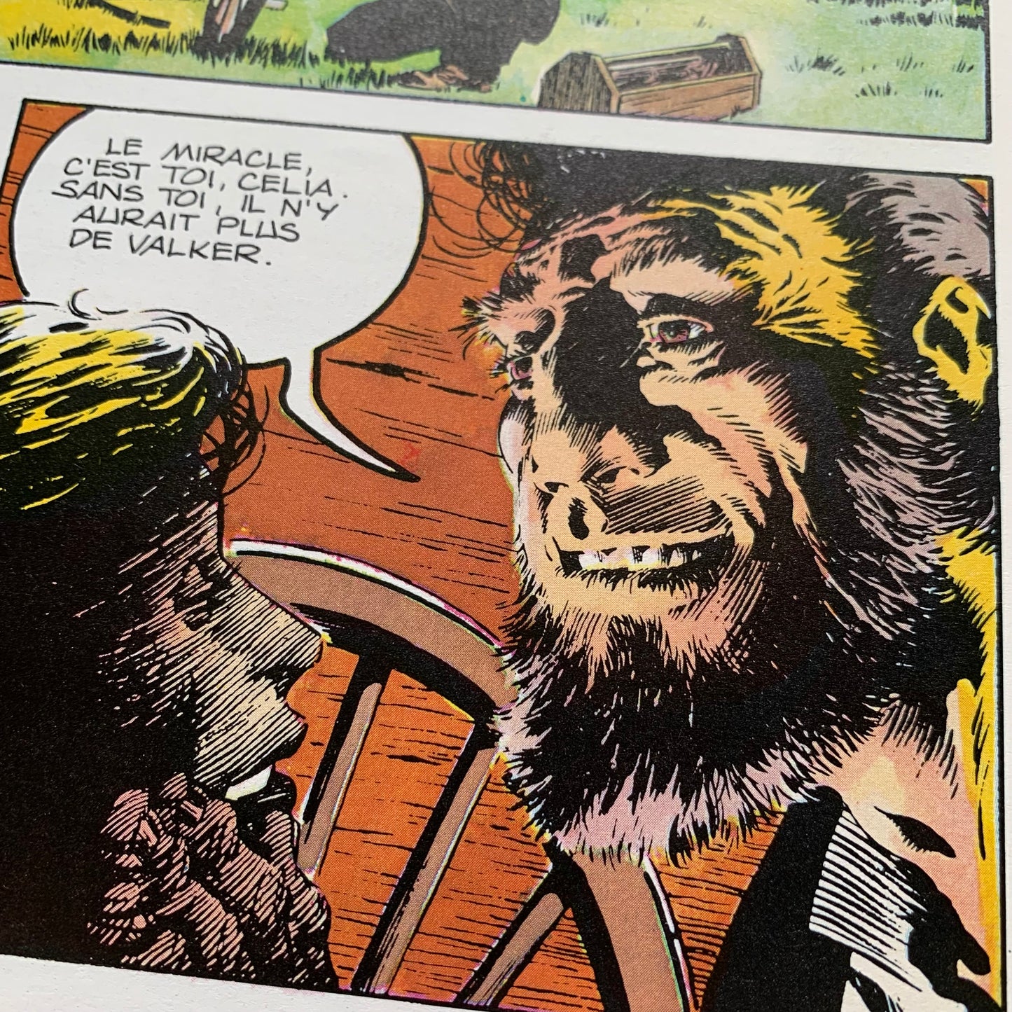 La Foire aux Monstres — Wrightson / Jones
