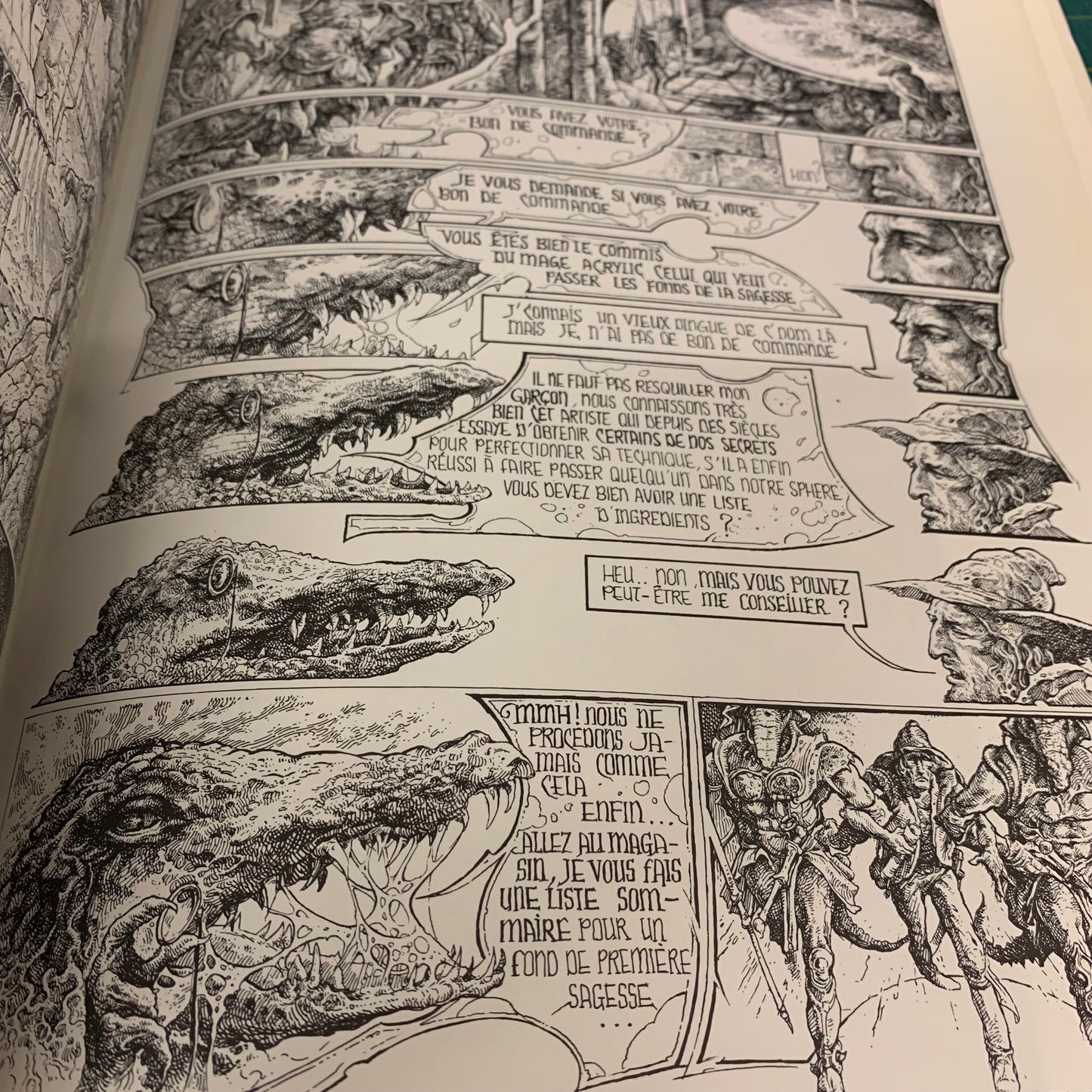 Le Mage Acrylic — Bihannic / Druillet