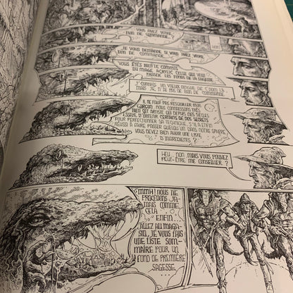 Le Mage Acrylic — Bihannic / Druillet