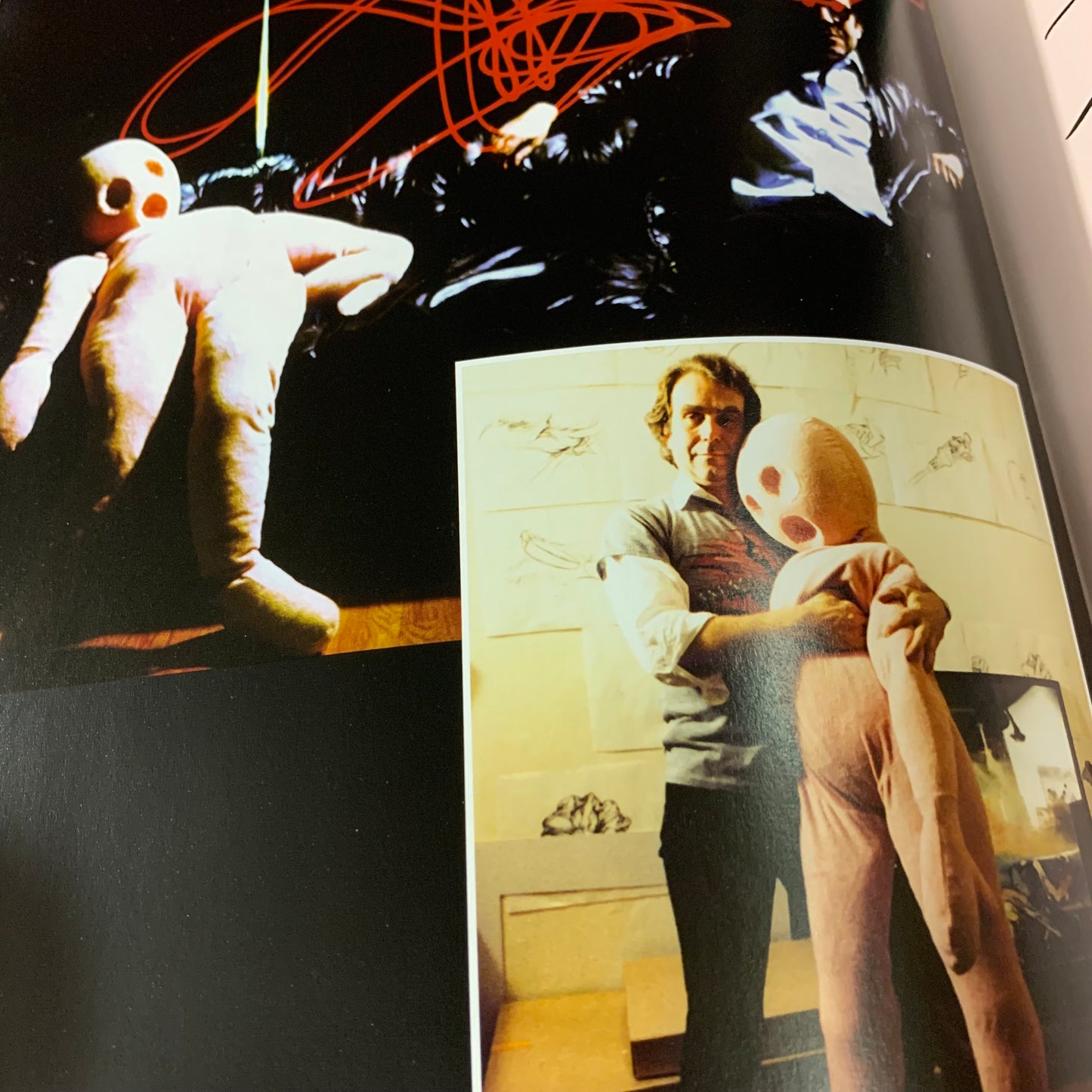 The Making of Pink Floyd The Wall (German ed.)