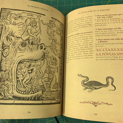 Le Livre Noir de la Sorcière