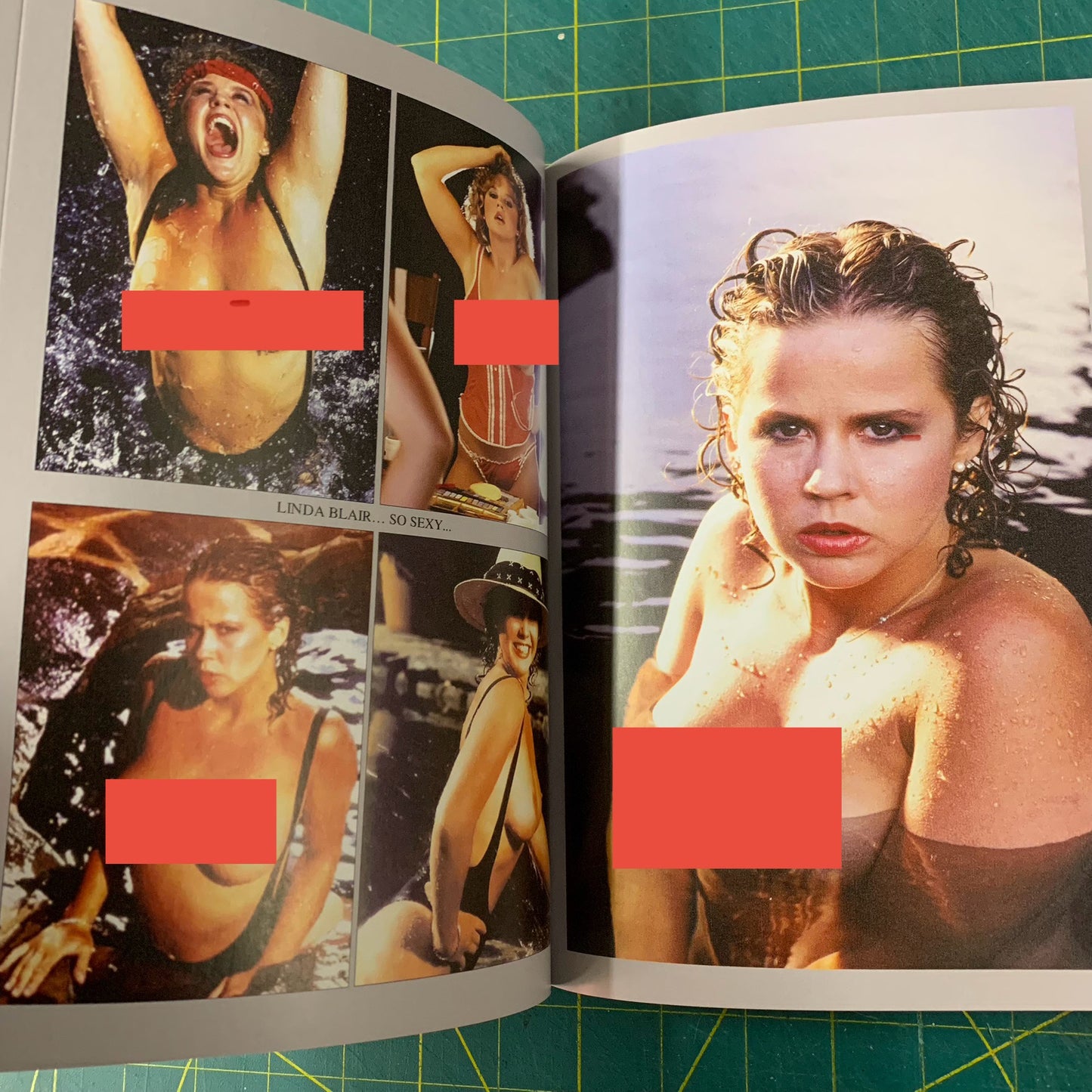 Toutes les couleurs du bis no. 5