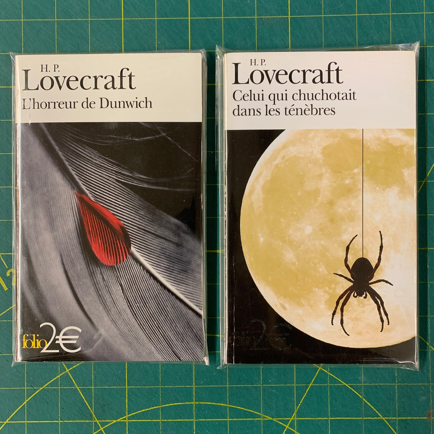 Lot 2 livres HP Lovecraft