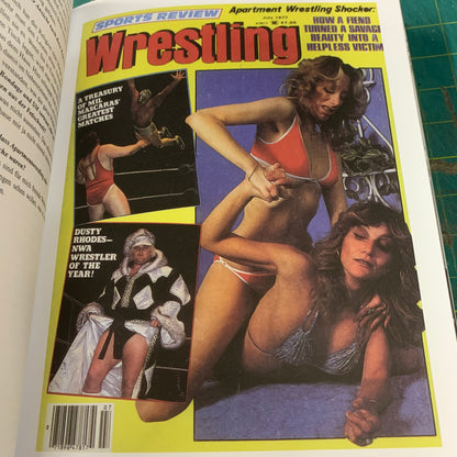 Exquisite Mayhem — The Erotic World of Wrestling