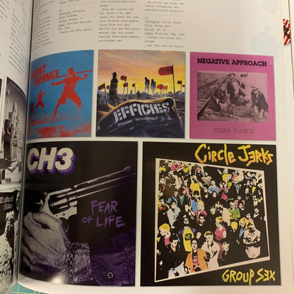 Design Und Punk (German edition The Art of Punk)