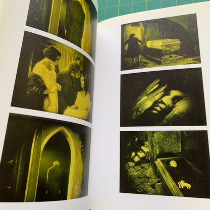 Nosferatu: Eine Symphonie des Grauens
