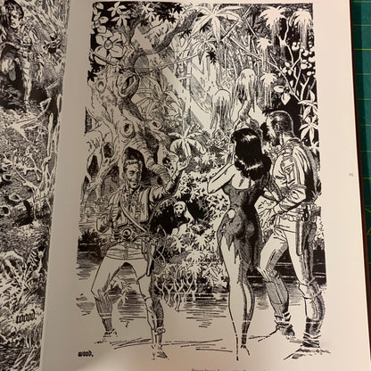 Wally Wood — Galaxy Art and Beyond