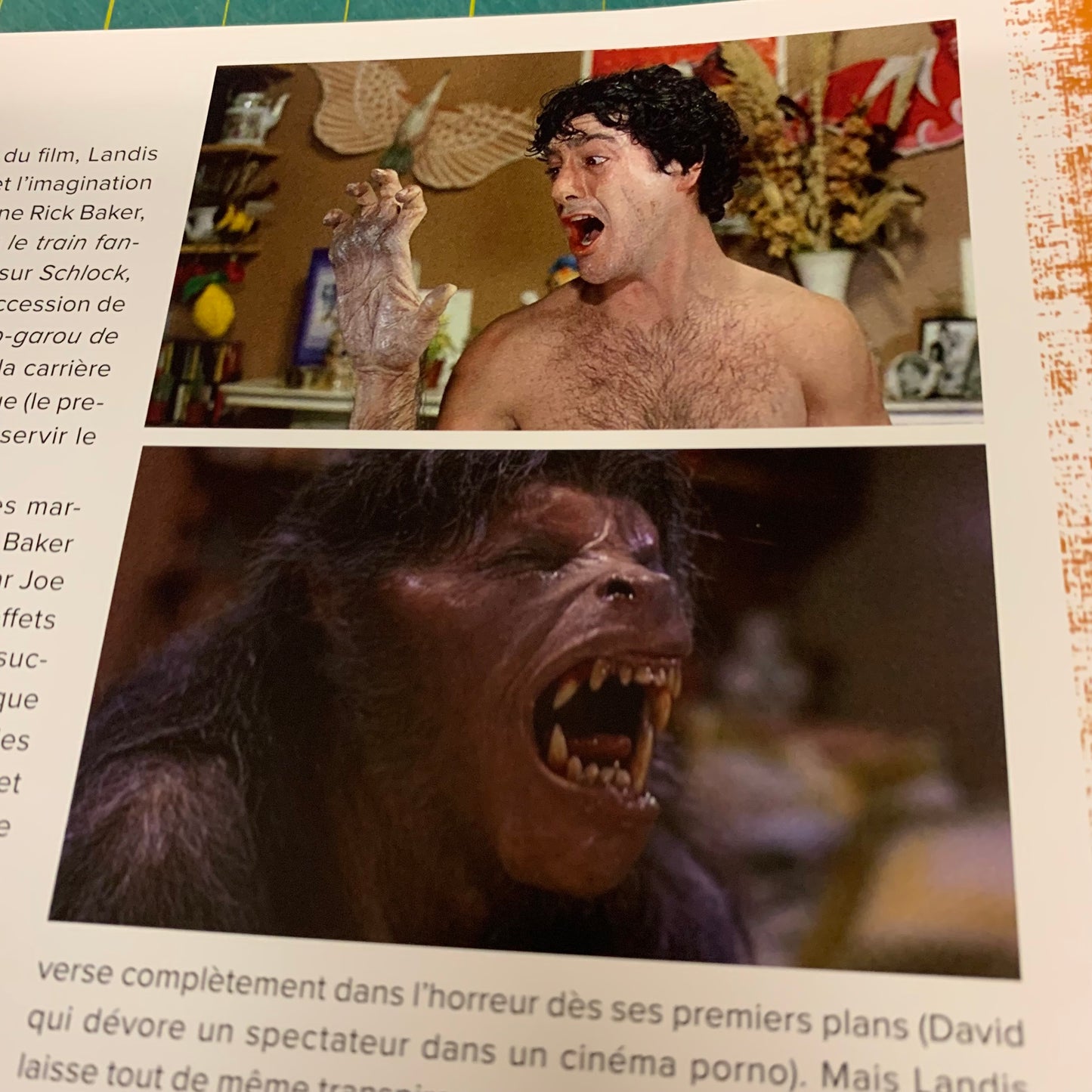 100 films d'horreur à voir avant trépas
