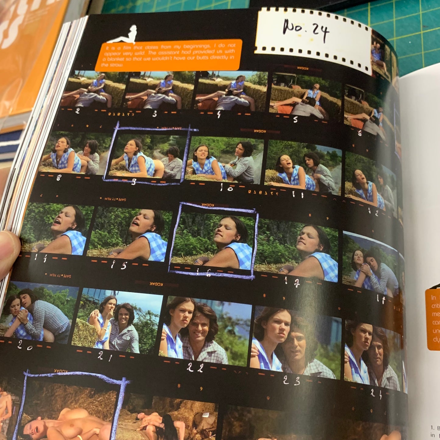 The Cult Films of Brigitte Lahaie