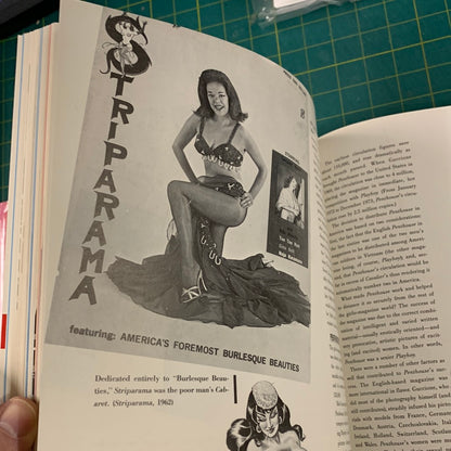 The illustrated history of Girlie magazines