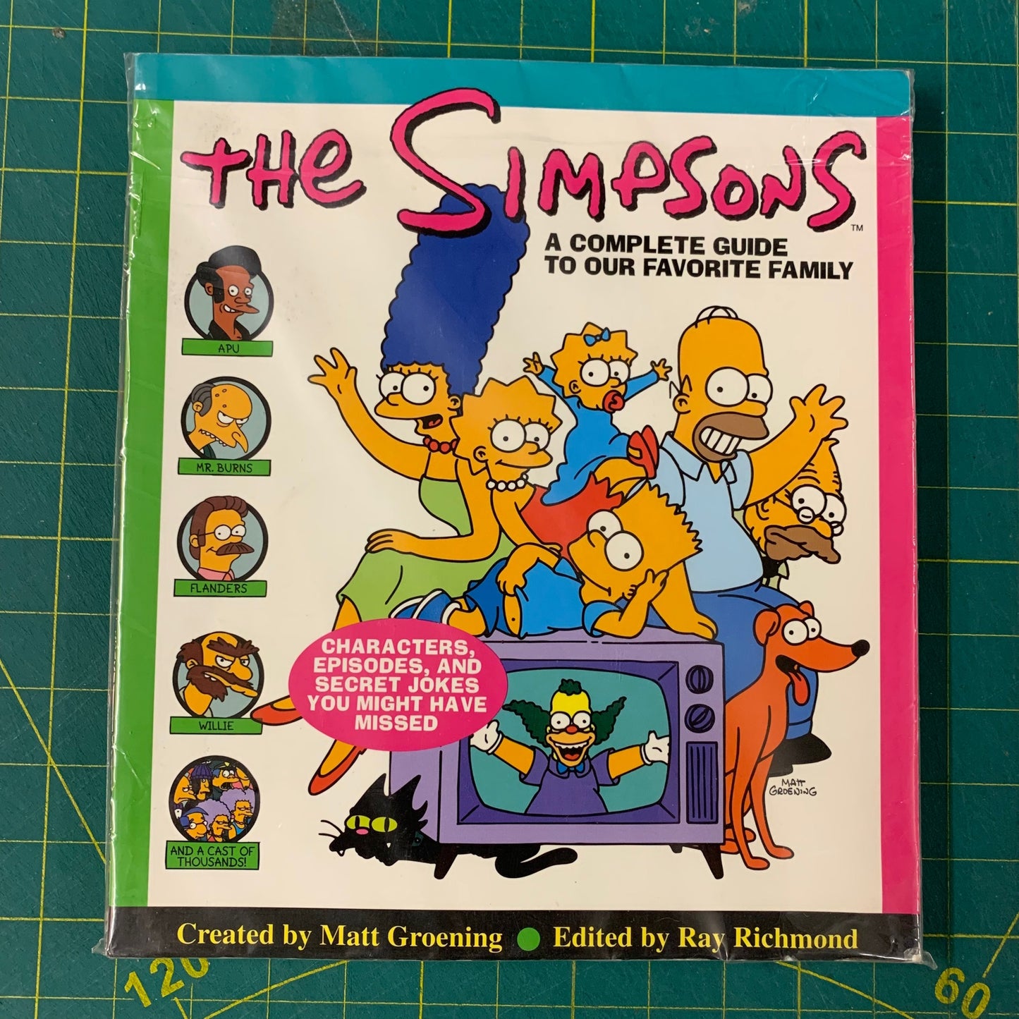 The Simpsons – a complete guide to our favourite family