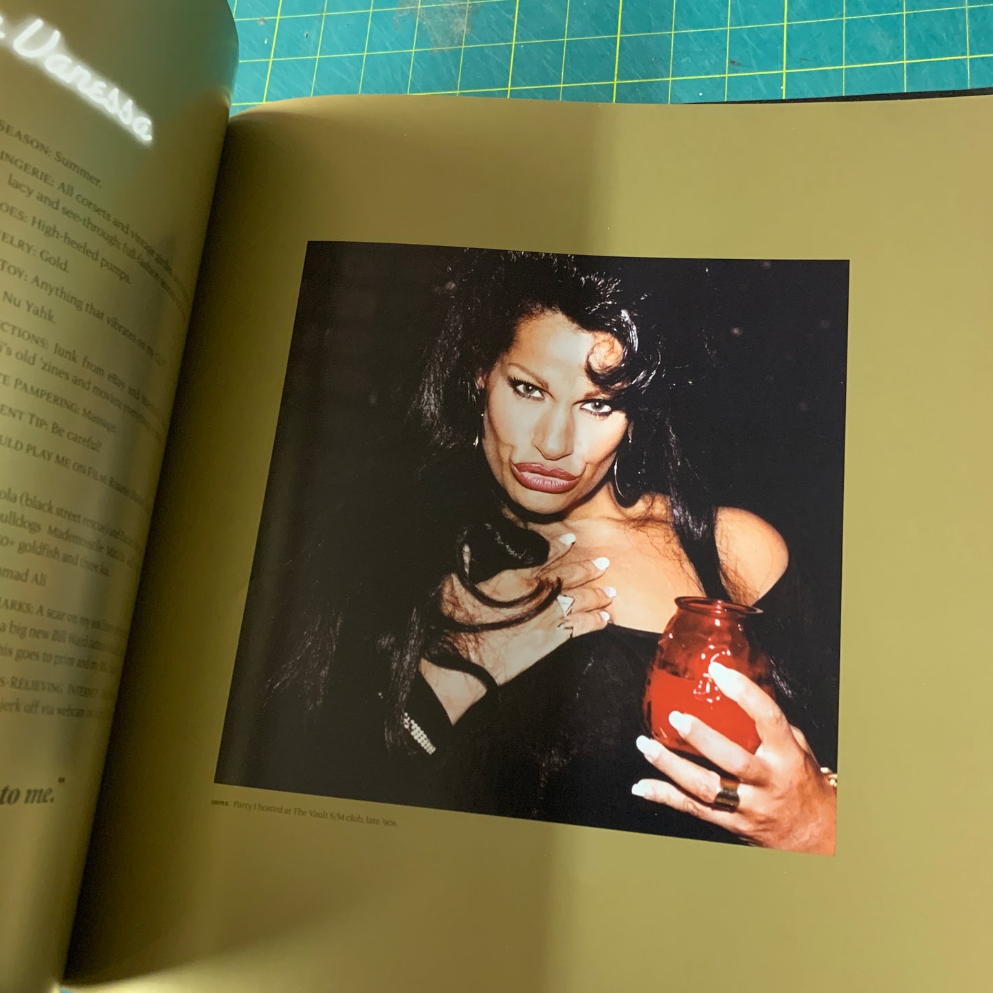 Vanessa del Rio - Fifty years of slightly slutty behavior (Incl. DVD)