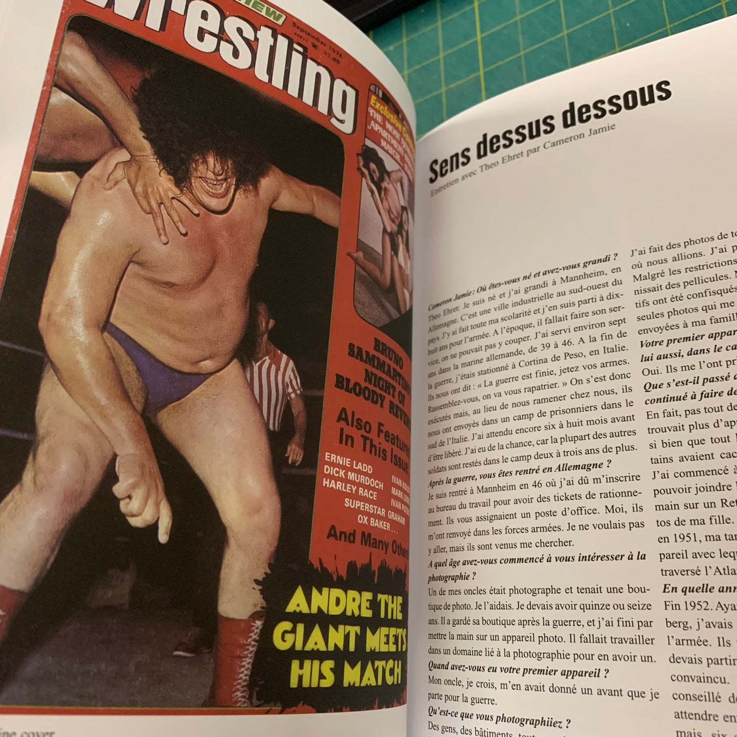 Exquisite Mayhem — The Erotic World of Wrestling