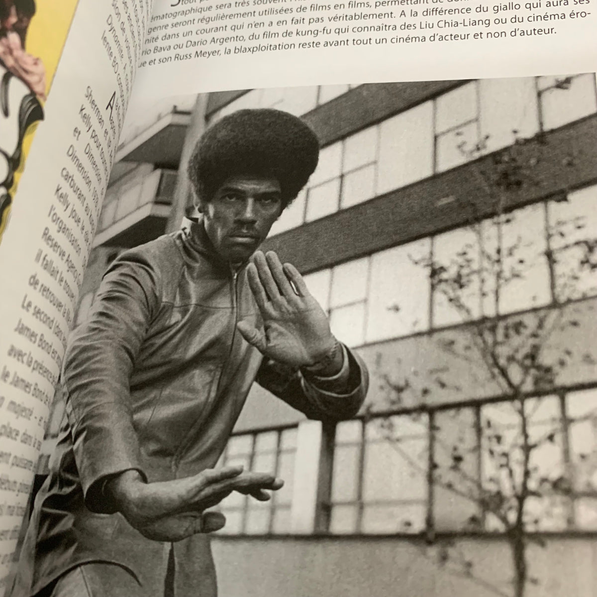 Blaxploitation: 70's Soul fever !