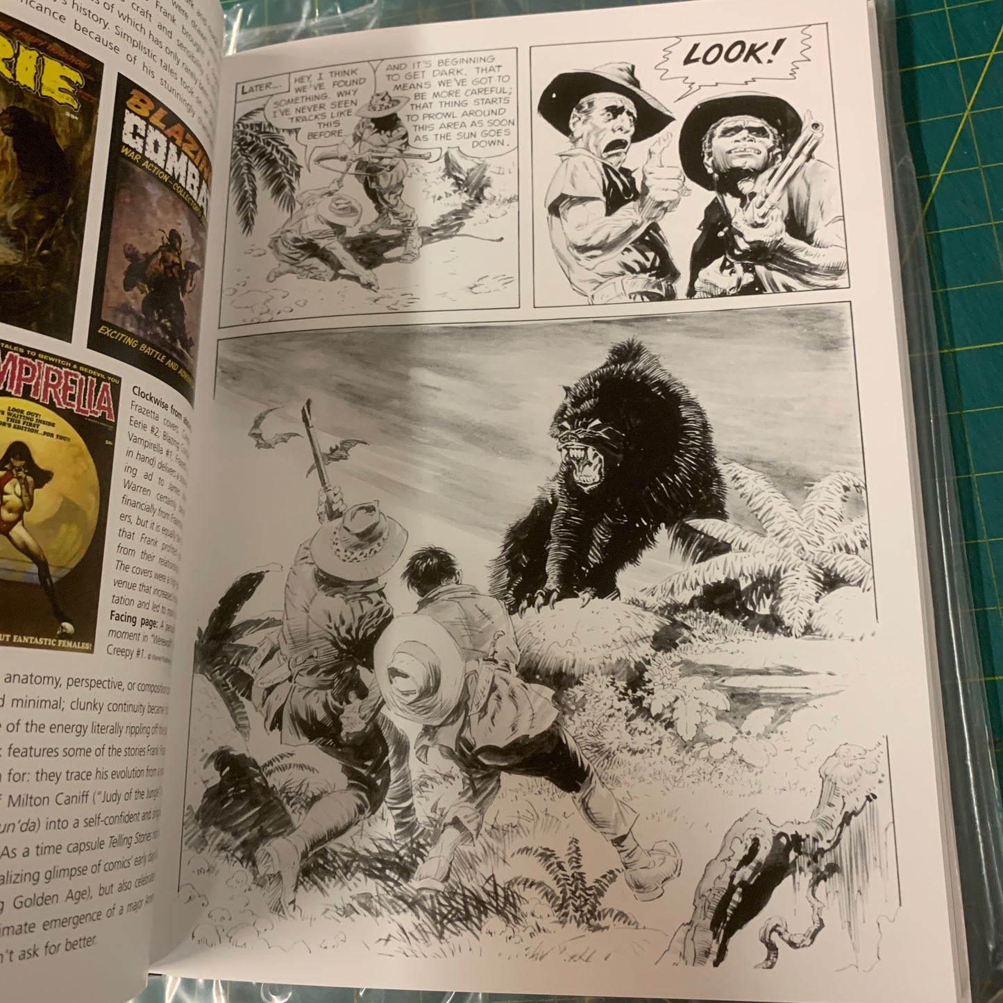 Telling Stories – The comic art of Frank Frazetta