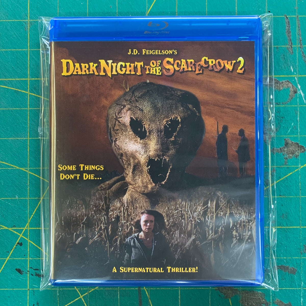 Dark Night of the Scarecrow 2