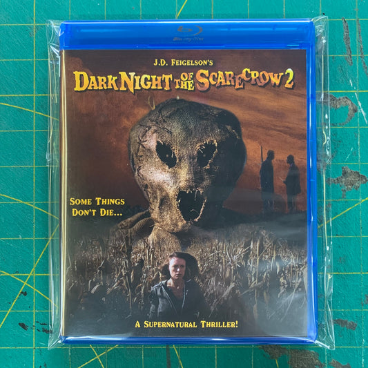 Dark Night of the Scarecrow 2