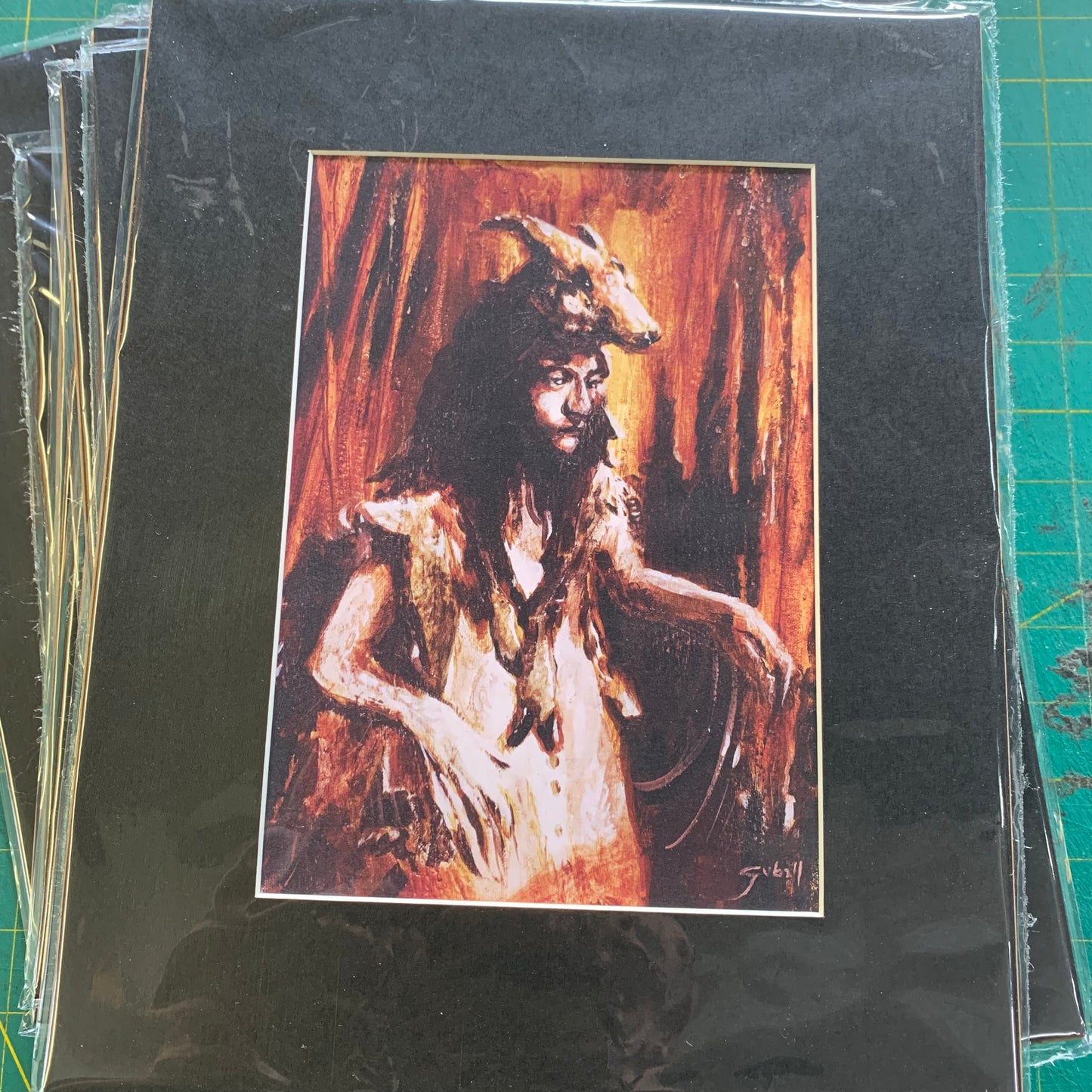 Lot de 10 prints 8X10" (Série 4)
