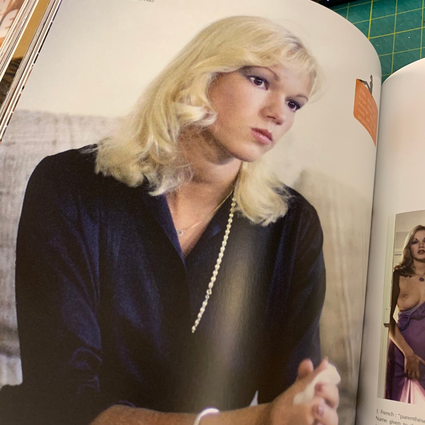 The Cult Films of Brigitte Lahaie