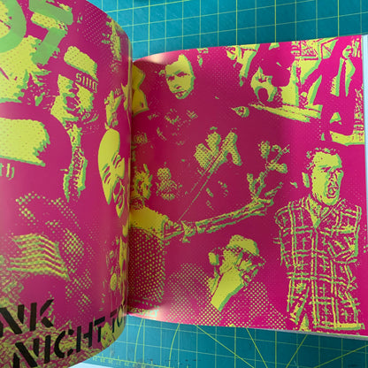 Design Und Punk (German edition The Art of Punk)