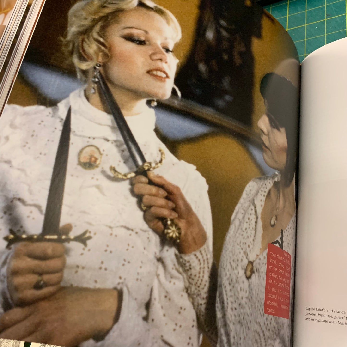 The Cult Films of Brigitte Lahaie