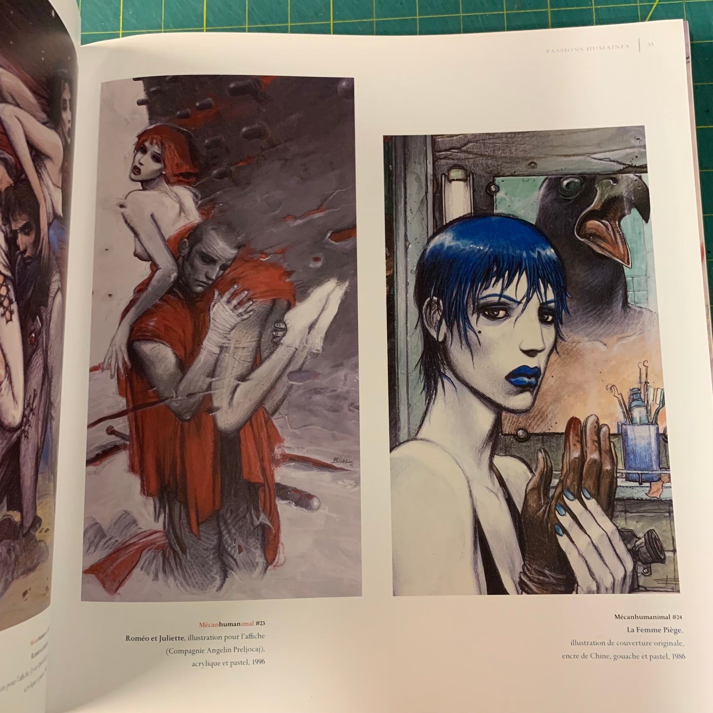 Enki Bilal — Mecanhumanimal