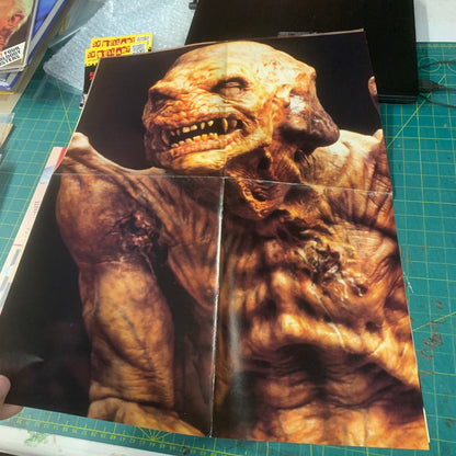 GoreZone no. 6