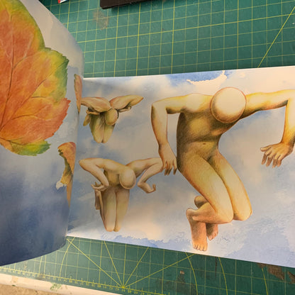 The Art of Pink Floyd The Wall — Gerald Scarfe (Deluxe Slipcase)