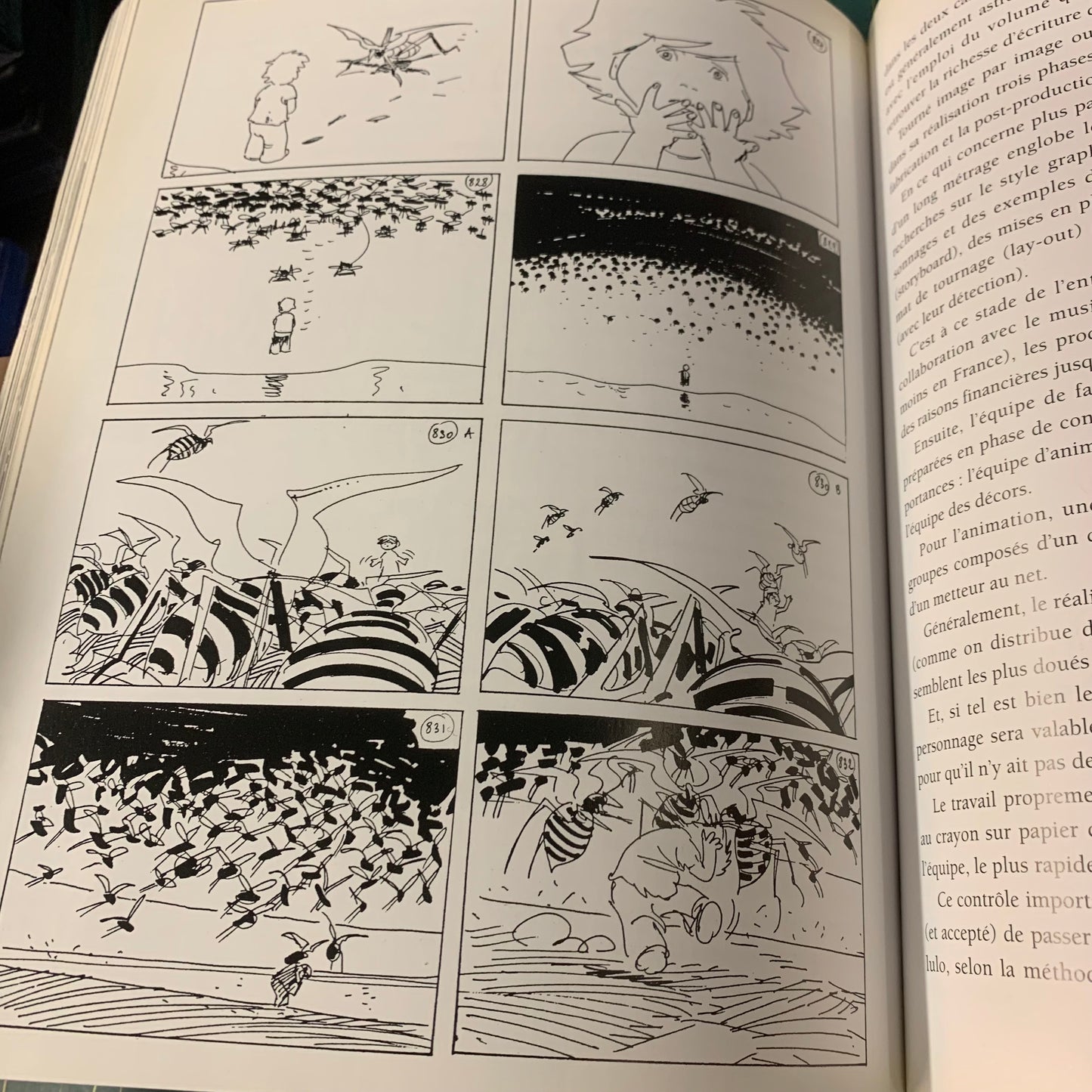 Ces dessins qui bougent: 1892-1992, cent ans de cinéma d'animation