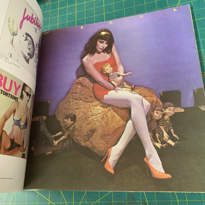 The Album Cover Art of Punk!