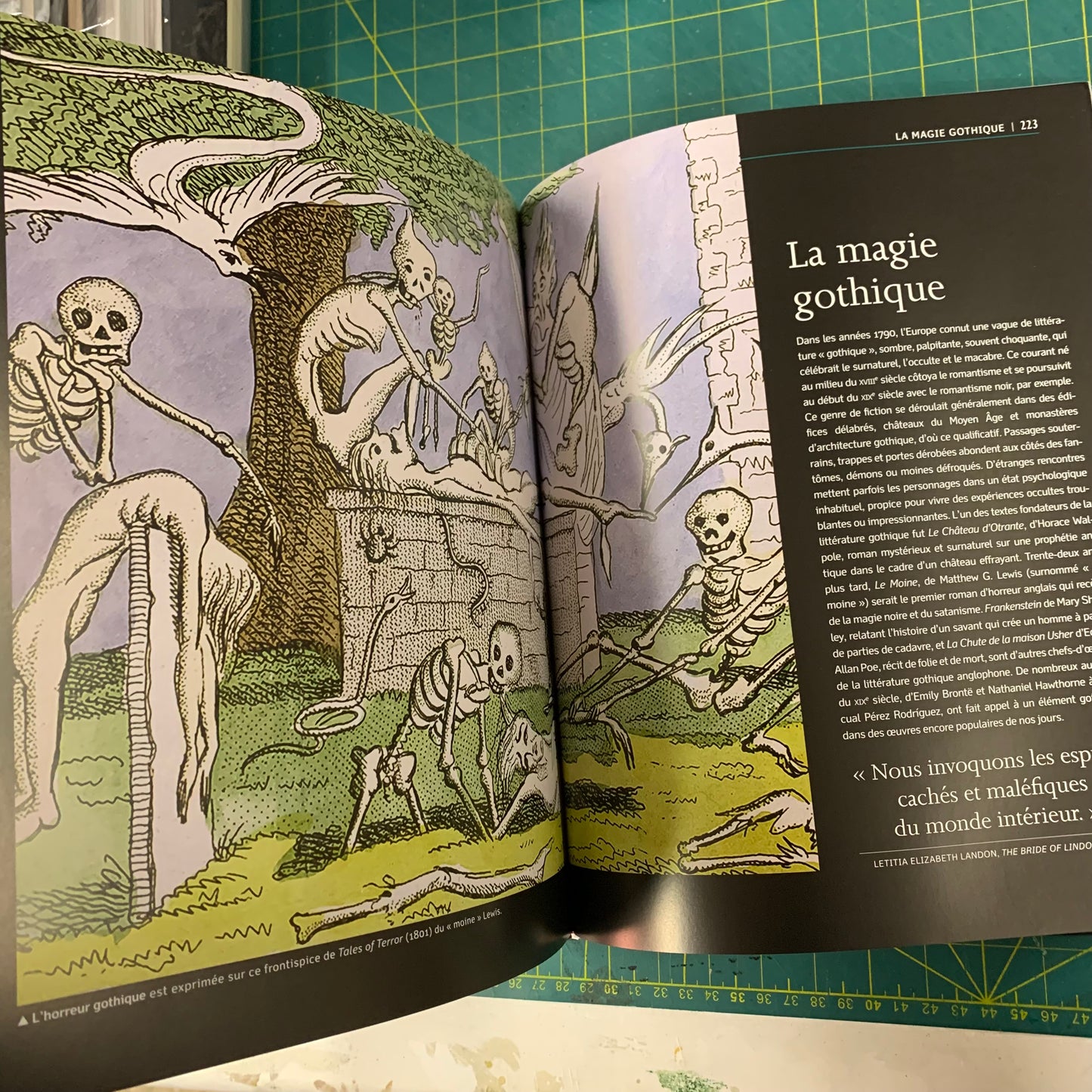 Le grand livre de la Sorcellerie, des Sciences Occultes et de la Magie