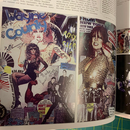 Design Und Punk (German edition The Art of Punk)