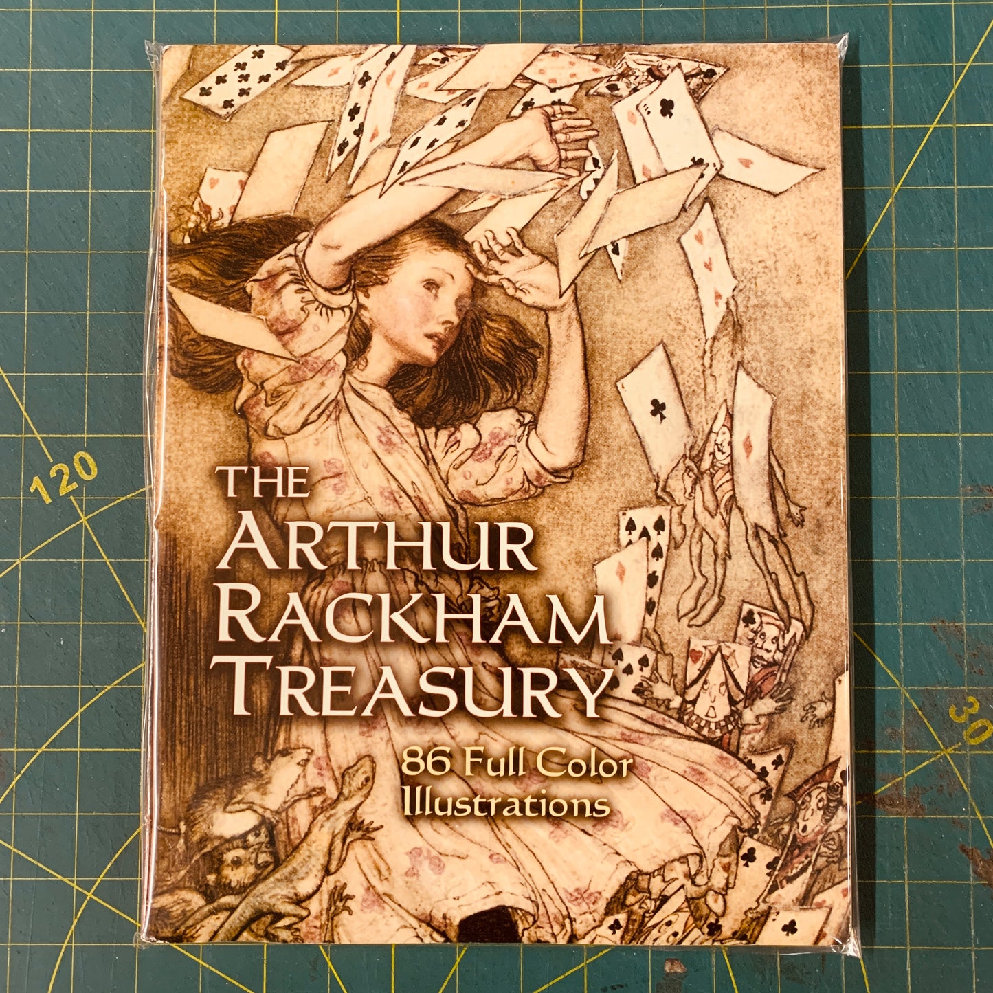 The Arthur Rackham treasury