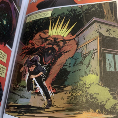 Hide: The Graphic Novel